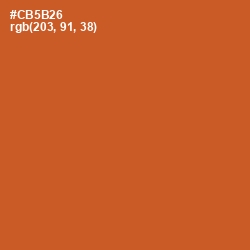 #CB5B26 - Flame Pea Color Image