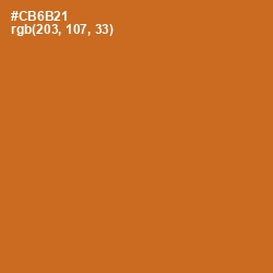 #CB6B21 - Piper Color Image