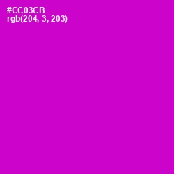 #CC03CB - Shocking Pink Color Image