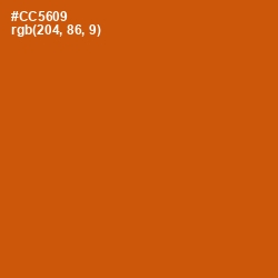 #CC5609 - Burnt Orange Color Image