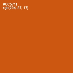 #CC5711 - Orange Roughy Color Image