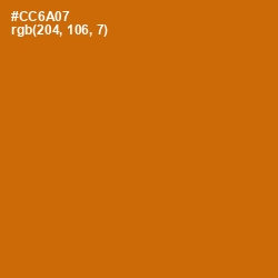 #CC6A07 - Indochine Color Image