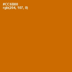 #CC6B00 - Indochine Color Image