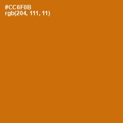 #CC6F0B - Indochine Color Image