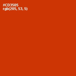 #CD3505 - Thunderbird Color Image