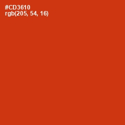 #CD3610 - Thunderbird Color Image