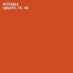 #CD4A22 - Punch Color Image
