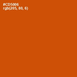 #CD5006 - Burnt Orange Color Image