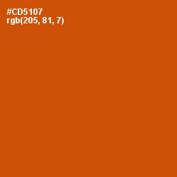 #CD5107 - Burnt Orange Color Image
