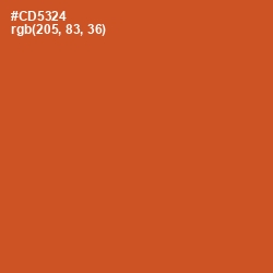 #CD5324 - Flame Pea Color Image