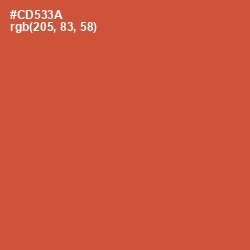 #CD533A - Flame Pea Color Image