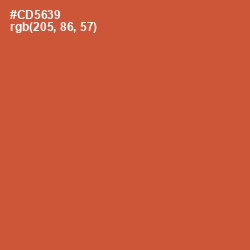 #CD5639 - Flame Pea Color Image
