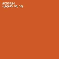 #CD5A24 - Flame Pea Color Image