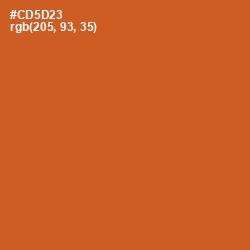 #CD5D23 - Flame Pea Color Image