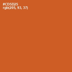 #CD5D25 - Flame Pea Color Image