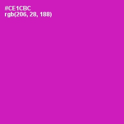 #CE1CBC - Hollywood Cerise Color Image