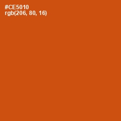 #CE5010 - Orange Roughy Color Image