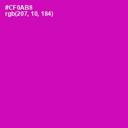 #CF0AB8 - Hollywood Cerise Color Image