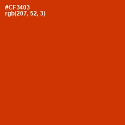 #CF3403 - Thunderbird Color Image