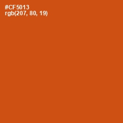 #CF5013 - Orange Roughy Color Image