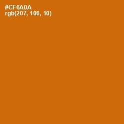 #CF6A0A - Indochine Color Image