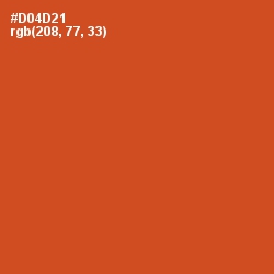 #D04D21 - Punch Color Image