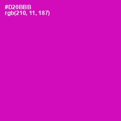 #D20BBB - Hollywood Cerise Color Image