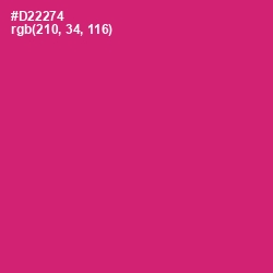 #D22274 - Cerise Red Color Image