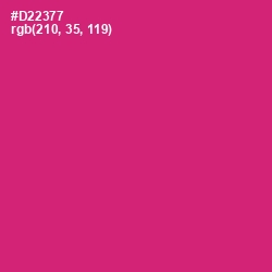 #D22377 - Cerise Red Color Image