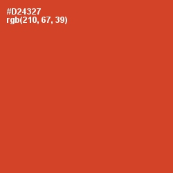 #D24327 - Punch Color Image