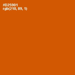 #D25901 - Red Stage Color Image