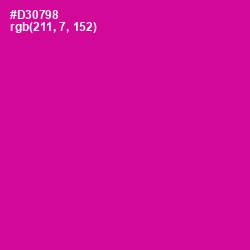 #D30798 - Red Violet Color Image