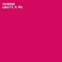 #D30960 - Razzmatazz Color Image