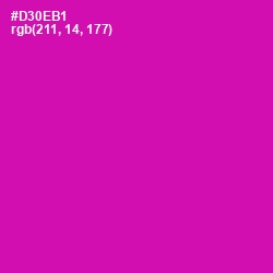 #D30EB1 - Hollywood Cerise Color Image