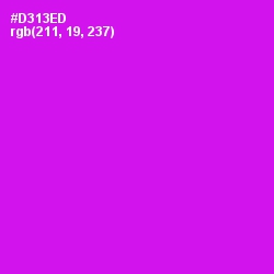 #D313ED - Magenta / Fuchsia Color Image