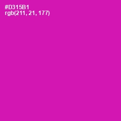 #D315B1 - Hollywood Cerise Color Image