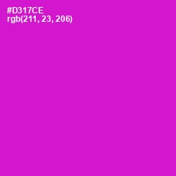 #D317CE - Shocking Pink Color Image