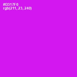 #D317F0 - Magenta / Fuchsia Color Image