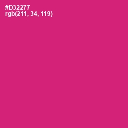 #D32277 - Cerise Red Color Image
