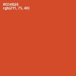 #D34B28 - Punch Color Image