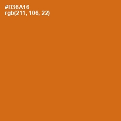 #D36A16 - Hot Cinnamon Color Image