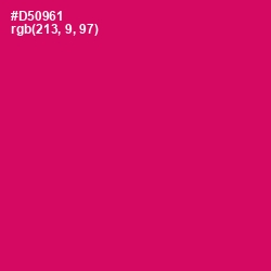 #D50961 - Razzmatazz Color Image