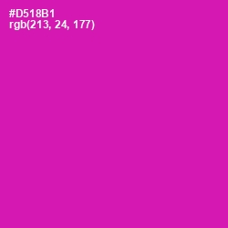 #D518B1 - Hollywood Cerise Color Image