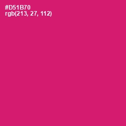 #D51B70 - Cerise Red Color Image