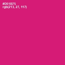 #D51B75 - Cerise Red Color Image