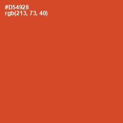 #D54928 - Punch Color Image