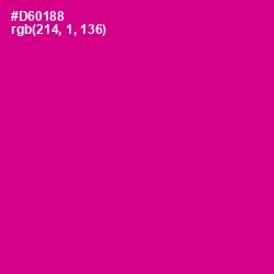 #D60188 - Red Violet Color Image