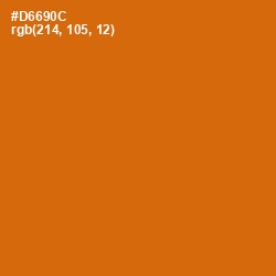 #D6690C - Bamboo Color Image