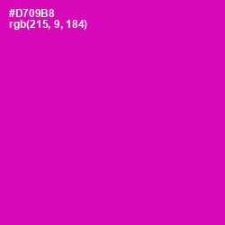 #D709B8 - Hollywood Cerise Color Image