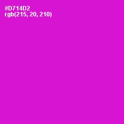 #D714D2 - Shocking Pink Color Image